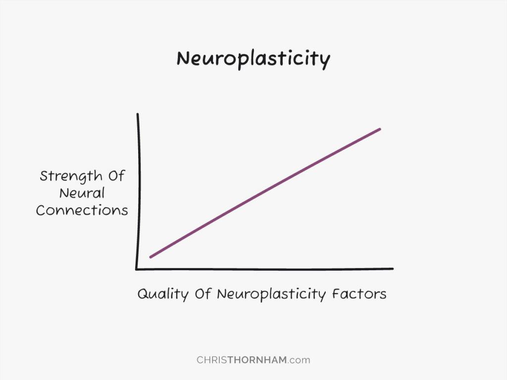 Rewire Your Brain With The Five Factors Or Neuroplasticity