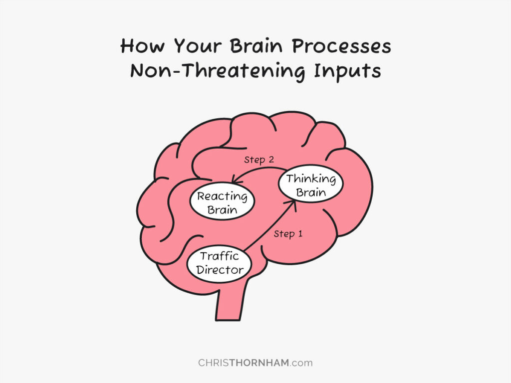 How Your Brain Processes Non-Threatening Inputs