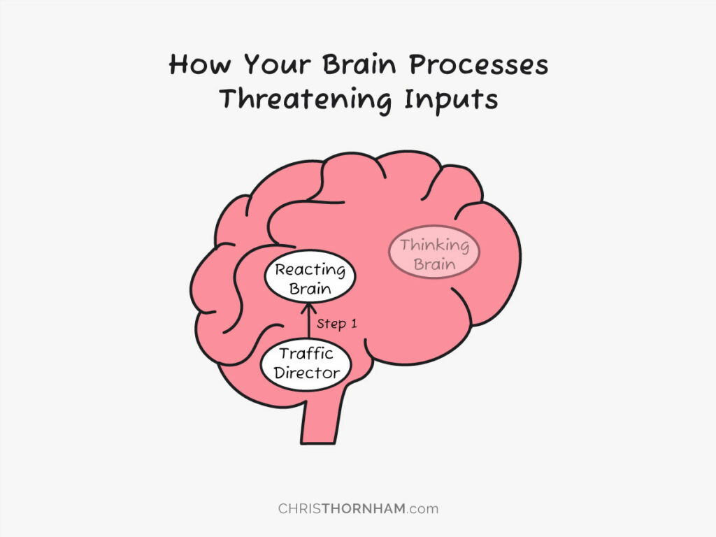 How Your Brain Processes Threatening Inputs